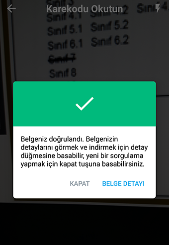 abfrage_turkish2.png